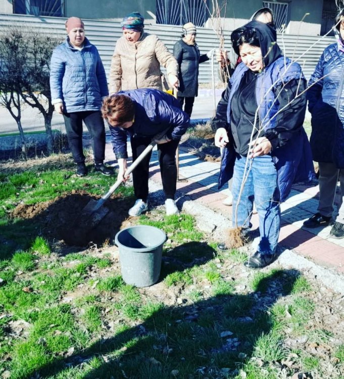 Жүз жылдығын ойлаған халық ағаш егеді!