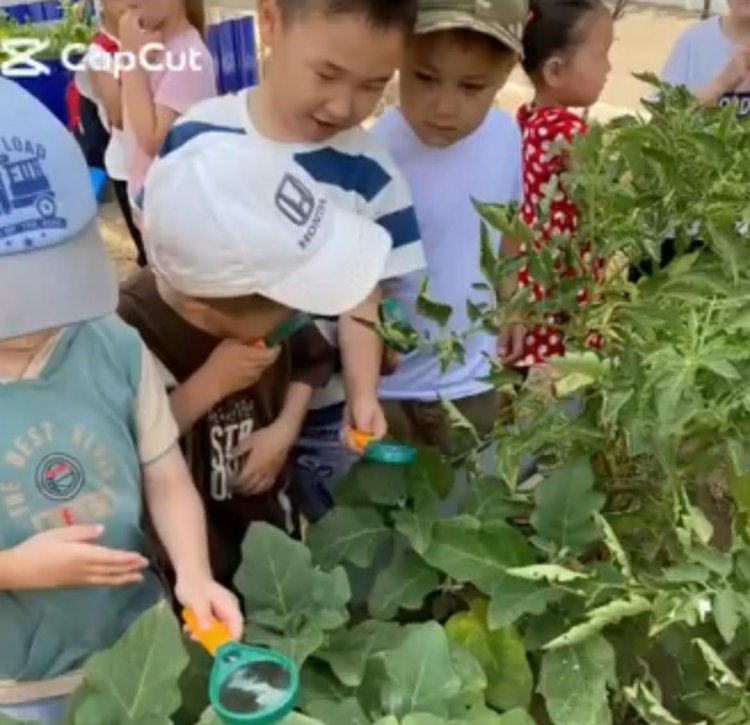 Жас бағбандар. "Құлыншақ" м/д тобы