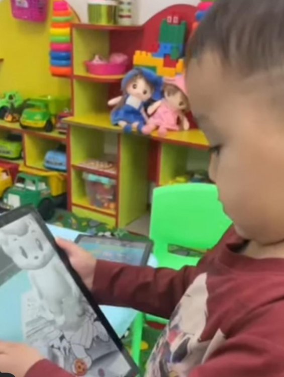 Заманауи технологияларды ұйымдастырылған іс-әрекетте қолдану